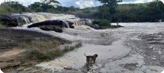 Cachoeira recanto dos sonhos - Santana do Garambéu - 8