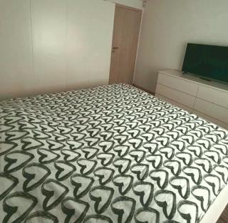 Apartament 4 camere de inchiriat - Bucareste - 7