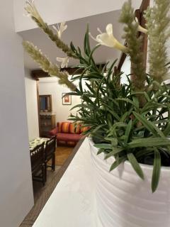 Vaci Bliss by Downtown with FREE PARKING - 5