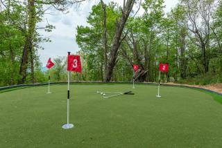 Sleeps 20 Hot Tub Outdoor Theater Putt Putt Games - Fairview - 5