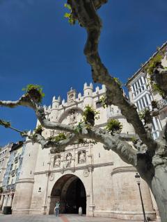 El Ático Burgos - Burgos - 0