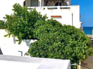 منزل حوالي 50متر من البحر - Oued Laou - 8