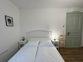 Vila Fráňa apartmán 2 - České Budějovice - 1