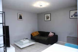 Appartement T2 Confortable à Lyon - Lyon - 3