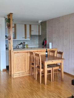 Charmant petit appartement - Ovronnaz - 1