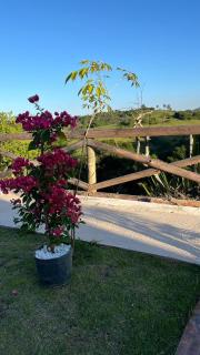 Chalé Paraíso Guararema 3 - 5