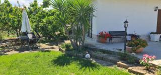 Holiday House ARAGONA - Cupello - 5