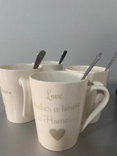 Goose Nest 1 - Bothaville - 4