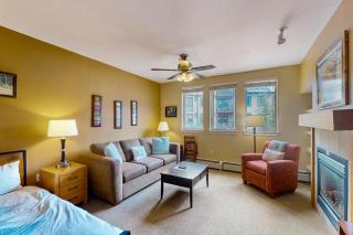 Ski-In Ski-Out Modern Mountain Condo - 1