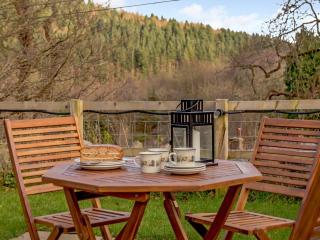 2 Bed in Lydbrook 55961 - Lydbrook - 9