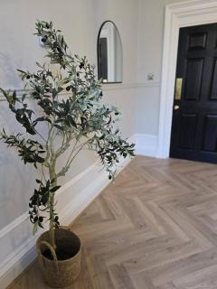 Luxury central apartment w/ 3 beds + 24hr check-in - Aberdeen - 4