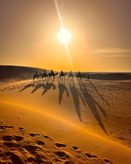Sahara Luxe Camp - 0
