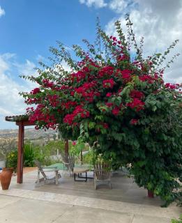 Pousada Monte das Serras - 7