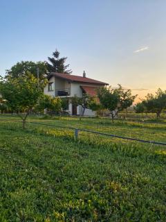 Paradiso - Vranje - 8