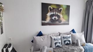 Die Waschbär Höhle mit Pool und Balkon - Schluchsee - 0