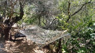 Olive grove mansion - kösedere village - Karaburun - 7