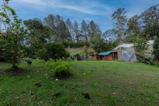 KITE KIWE LODGE - Parque Arvi - Guarne - 3