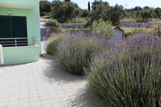 Villa Amaris - Trogir - 7