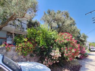 Olive grove mansion - kösedere village - Karaburun - 5
