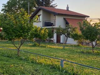 s t d -PARADISO- - Vranje - 0