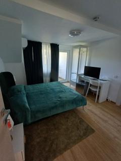 Pensiune CARLA - Sărata-Monteoru - 8