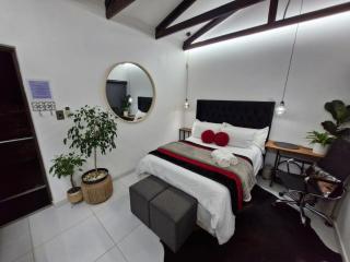 Indulge luxury overnight accommodation - Middelburg - 8