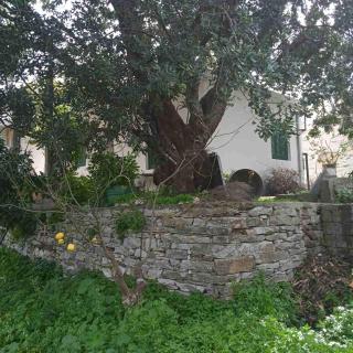 Ikarian Family Cottage, Ikaria Droutsoulas - Akamatra - 2