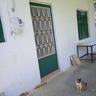 Ikarian Family Cottage, Ikaria Droutsoulas - Akamatra - 1