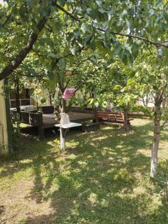 Qecres Bag Evi Villa - Quba - 8