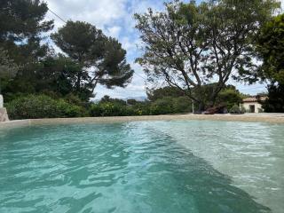 Hibiscus - La Seyne-sur-Mer - 1