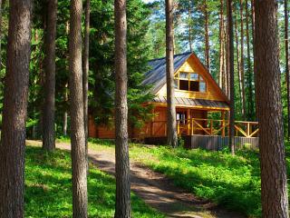 The Cabin in the Woods - Tegucigalpa - 0