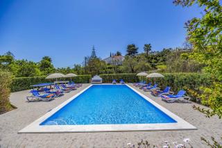 Villa Laranja do Sul by Villa Plus - Carvoeiro - 3