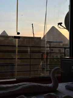 Amun House - Il Cairo - 4