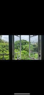 Queenslander - Brisbane - 5