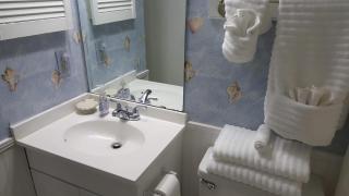 Myrtle Beach Resort 2bd 2bth - Myrtle Beach - 4