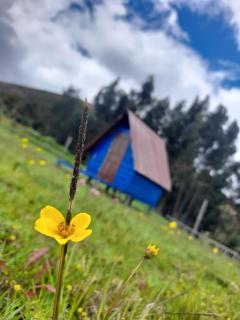 Camping San Francisco - Cabaña, Teepee & Zona de Camping - Guatavita - 7