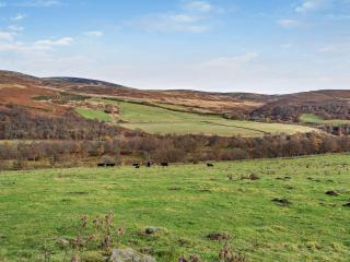 1 Bed in Edzell CA335 - Edzell - 3