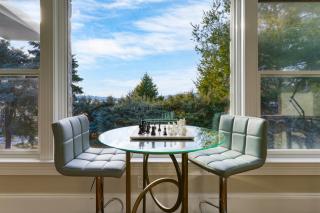 Hudson River Views Firepit Patio Dog Run Game Room Stone Manor - Briarcliff Manor - 7