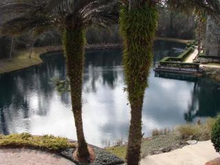 4307-SP Pool & hot tub Great balcony view of lagoon - St. Augustine - 1