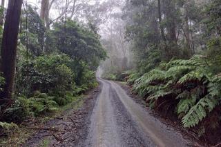 Red Rocks Mountain Retreat, Browns Mountain, Kangaroo Valley - Valle Kangaroo - 7