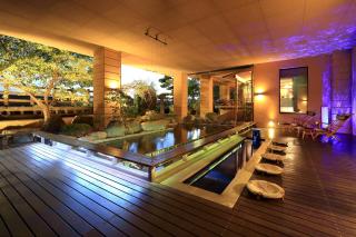 Yamaga Onsen Seiryuso - Yamaga - 4