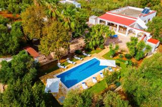 Villa Olivier by Villa Plus - Carovigno - 8