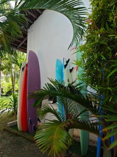 Surf Camp 79 - Kuta - 5