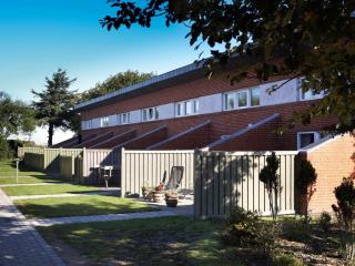 4 person holiday home on a holiday park in Hemmet - Hemmet - 1