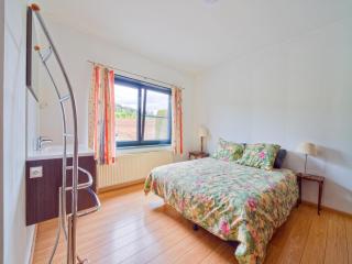 Holiday Home in Lierneux with Private Garden - Lierneux - 6