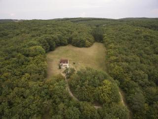 Maison isolée avec piscine au cœur du Périgord Noir, près de Sarlat et sites historiques - FR-1-616-182 - Borrèze - 6