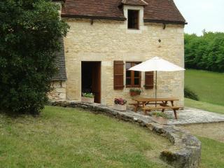 Maison isolée avec piscine au cœur du Périgord Noir, près de Sarlat et sites historiques - FR-1-616-182 - Borrèze - 5