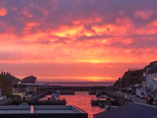 1 Bed in Portreath 07540 - 8