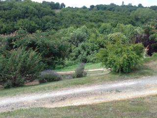 Maison avec jardin près de Sarlat, animaux admis - FR-1-616-58 - 1