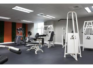 Amazing Condos Beautiful View 2 Blocks To French Quarter, Small Rooftop Pool, Gym, Seanger Theater, Super Dome, And Bourbon St - New Orleans - 1